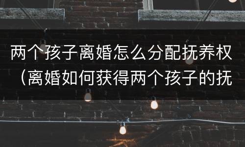 两个孩子离婚怎么分配抚养权（离婚如何获得两个孩子的抚养权）