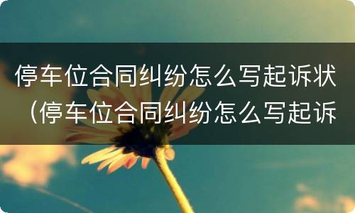 停车位合同纠纷怎么写起诉状（停车位合同纠纷怎么写起诉状范文）