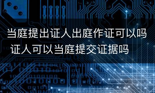当庭提出证人出庭作证可以吗 证人可以当庭提交证据吗