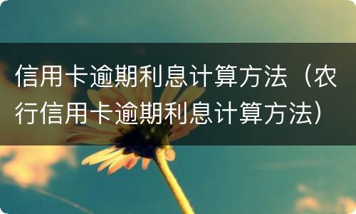 信用卡逾期利息计算方法（农行信用卡逾期利息计算方法）