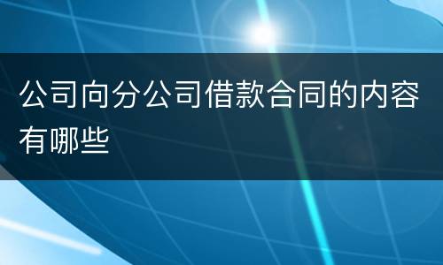 公司向分公司借款合同的内容有哪些