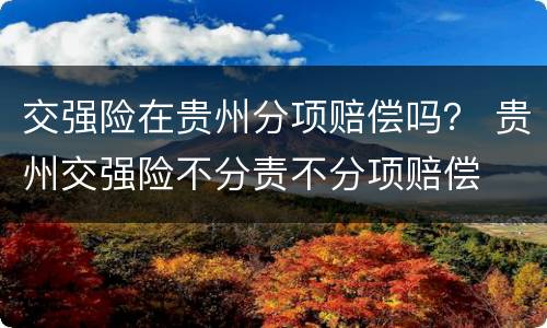 交强险在贵州分项赔偿吗？ 贵州交强险不分责不分项赔偿