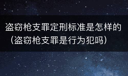 盗窃枪支罪定刑标准是怎样的（盗窃枪支罪是行为犯吗）