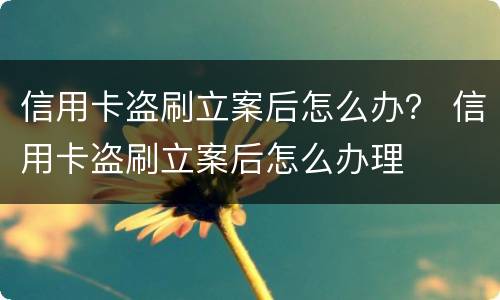 信用卡盗刷立案后怎么办？ 信用卡盗刷立案后怎么办理