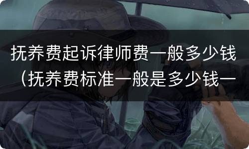 抚养费起诉律师费一般多少钱（抚养费标准一般是多少钱一个月）
