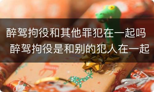 醉驾拘役和其他罪犯在一起吗 醉驾拘役是和别的犯人在一起吗