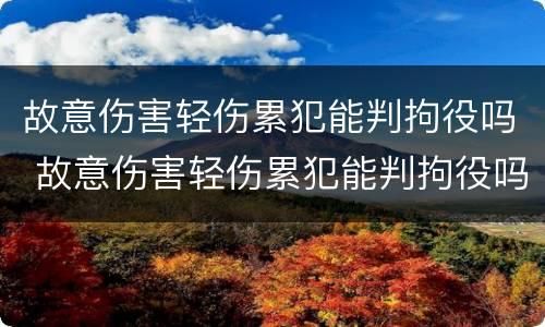 故意伤害轻伤累犯能判拘役吗 故意伤害轻伤累犯能判拘役吗知乎
