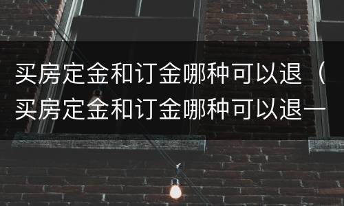 买房定金和订金哪种可以退（买房定金和订金哪种可以退一点）