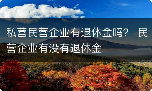 私营民营企业有退休金吗？ 民营企业有没有退休金