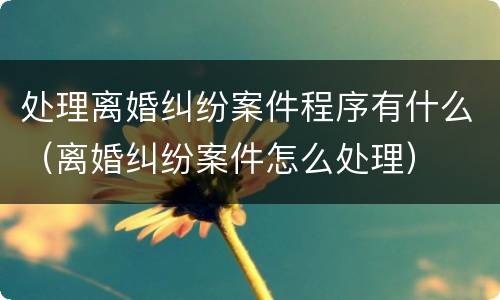 处理离婚纠纷案件程序有什么（离婚纠纷案件怎么处理）