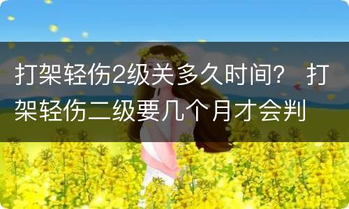 打架轻伤2级关多久时间？ 打架轻伤二级要几个月才会判