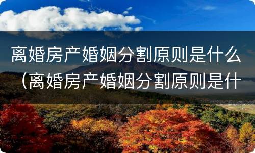 离婚房产婚姻分割原则是什么（离婚房产婚姻分割原则是什么意思）