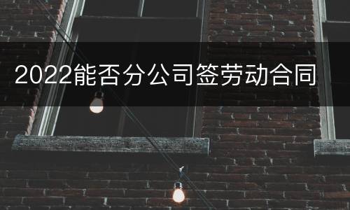 2022能否分公司签劳动合同