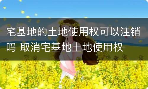 宅基地的土地使用权可以注销吗 取消宅基地土地使用权