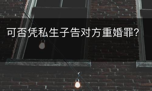 可否凭私生子告对方重婚罪？