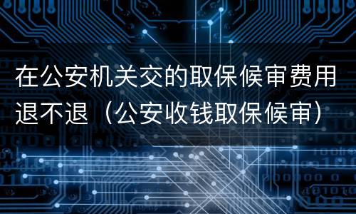 在公安机关交的取保候审费用退不退（公安收钱取保候审）