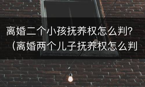 离婚二个小孩抚养权怎么判？（离婚两个儿子抚养权怎么判定）