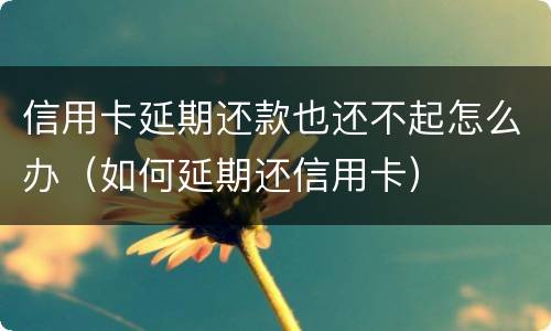 信用卡延期还款也还不起怎么办（如何延期还信用卡）