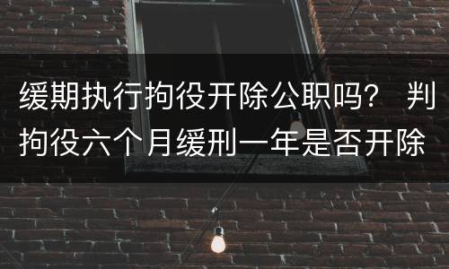 缓期执行拘役开除公职吗？ 判拘役六个月缓刑一年是否开除公职