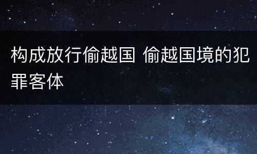 构成放行偷越国 偷越国境的犯罪客体