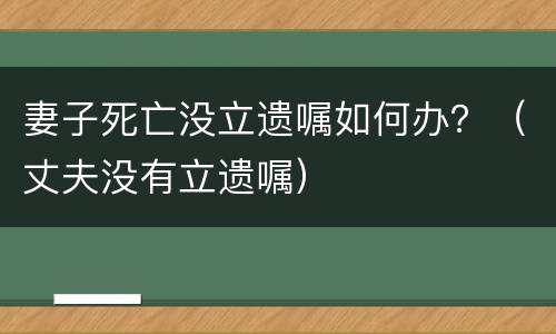 妻子死亡没立遗嘱如何办？（丈夫没有立遗嘱）
