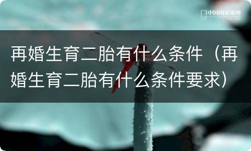 再婚生育二胎有什么条件（再婚生育二胎有什么条件要求）