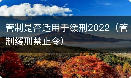 管制是否适用于缓刑2022（管制缓刑禁止令）