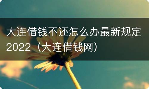大连借钱不还怎么办最新规定2022（大连借钱网）