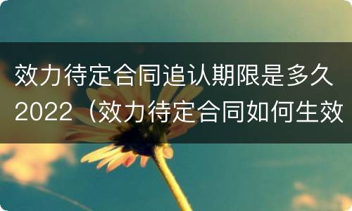 效力待定合同追认期限是多久2022（效力待定合同如何生效）