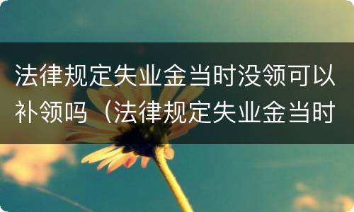 法律规定失业金当时没领可以补领吗（法律规定失业金当时没领可以补领吗怎么办）