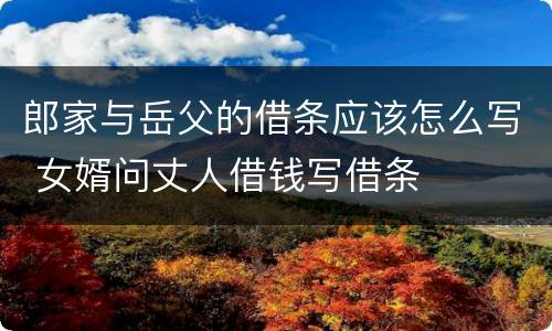 郎家与岳父的借条应该怎么写 女婿问丈人借钱写借条