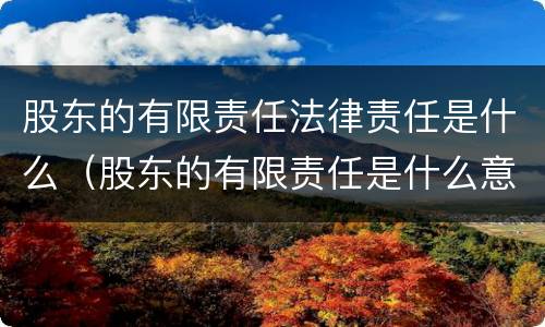 股东的有限责任法律责任是什么（股东的有限责任是什么意思）
