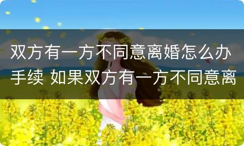 双方有一方不同意离婚怎么办手续 如果双方有一方不同意离婚怎么办