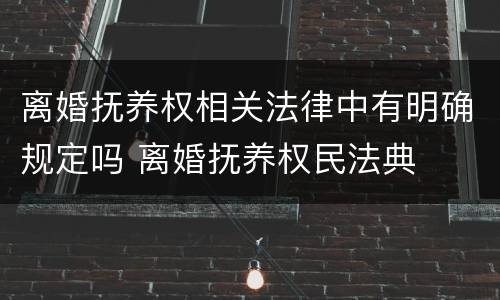 离婚抚养权相关法律中有明确规定吗 离婚抚养权民法典