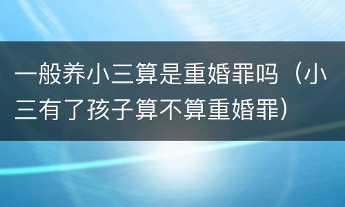 一般养小三算是重婚罪吗（小三有了孩子算不算重婚罪）