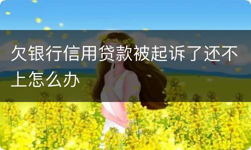 欠银行信用贷款被起诉了还不上怎么办