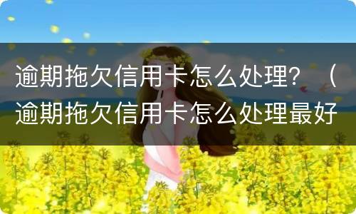 逾期拖欠信用卡怎么处理？（逾期拖欠信用卡怎么处理最好）