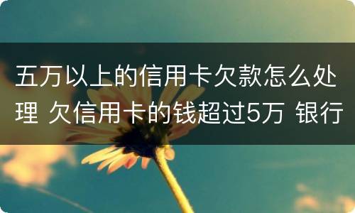 五万以上的信用卡欠款怎么处理 欠信用卡的钱超过5万 银行报案了怎么办