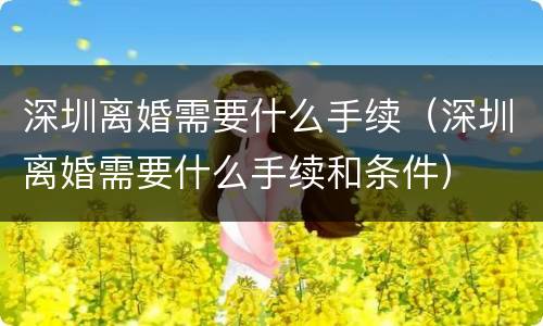 深圳离婚需要什么手续（深圳离婚需要什么手续和条件）