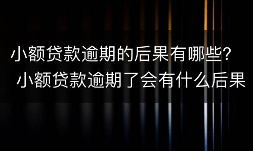 小额贷款逾期的后果有哪些？ 小额贷款逾期了会有什么后果