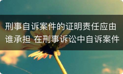 刑事自诉案件的证明责任应由谁承担 在刑事诉讼中自诉案件的证明责任承担者是