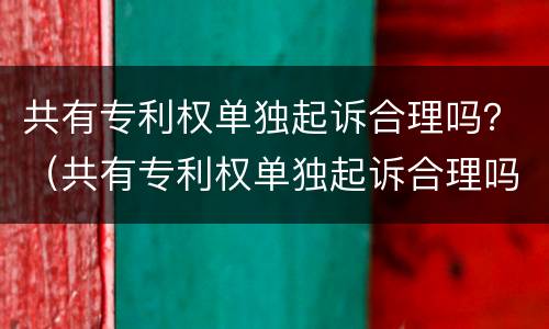 共有专利权单独起诉合理吗？（共有专利权单独起诉合理吗法律）