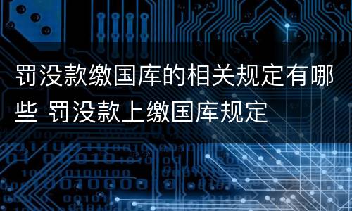 罚没款缴国库的相关规定有哪些 罚没款上缴国库规定