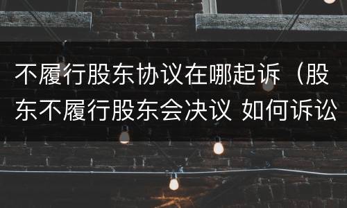 不履行股东协议在哪起诉（股东不履行股东会决议 如何诉讼）