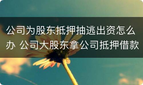 公司为股东抵押抽逃出资怎么办 公司大股东拿公司抵押借款