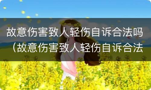 故意伤害致人轻伤自诉合法吗（故意伤害致人轻伤自诉合法吗怎么判）