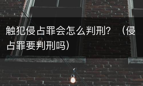 触犯侵占罪会怎么判刑？（侵占罪要判刑吗）