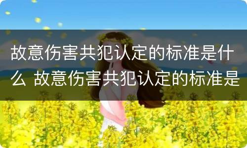 故意伤害共犯认定的标准是什么 故意伤害共犯认定的标准是什么意思