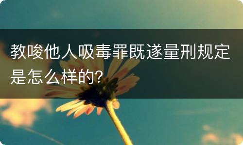 教唆他人吸毒罪既遂量刑规定是怎么样的？