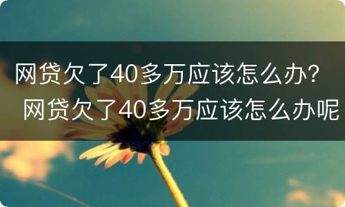 网贷欠了40多万应该怎么办？ 网贷欠了40多万应该怎么办呢